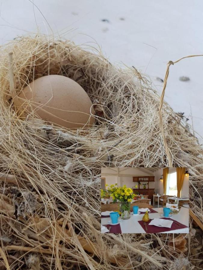 Hotel Valle Del Oja Casalarreina Dış mekan fotoğraf