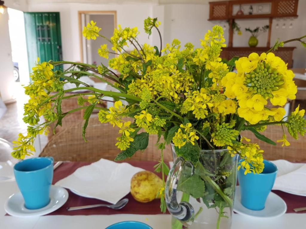 Hotel Valle Del Oja Casalarreina Dış mekan fotoğraf