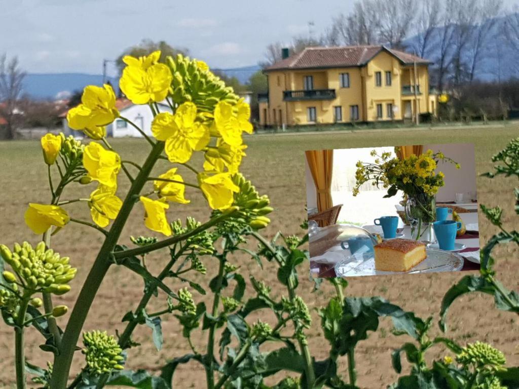 Hotel Valle Del Oja Casalarreina Dış mekan fotoğraf