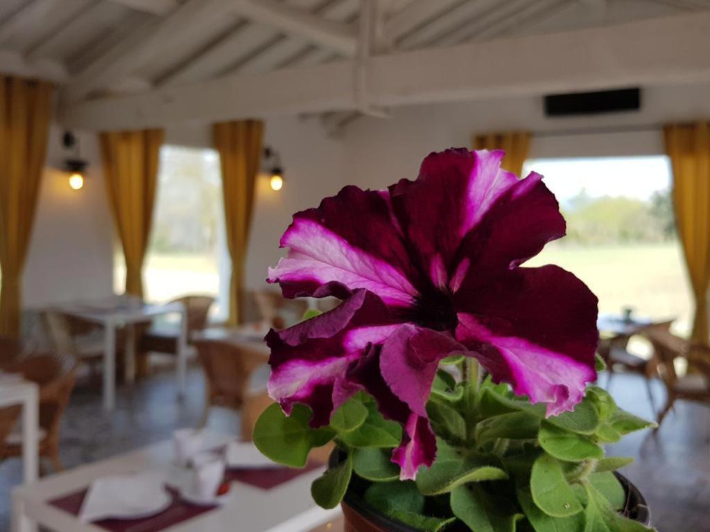 Hotel Valle Del Oja Casalarreina Dış mekan fotoğraf