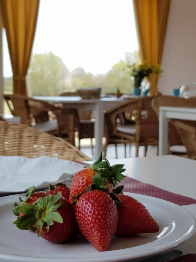 Hotel Valle Del Oja Casalarreina Dış mekan fotoğraf